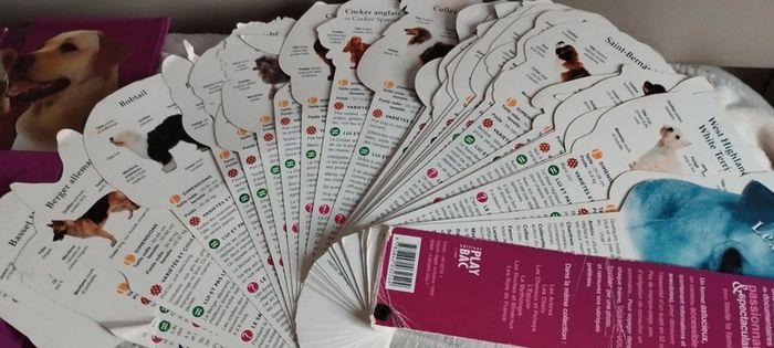 L'éventail des Chiens - photo numéro 5