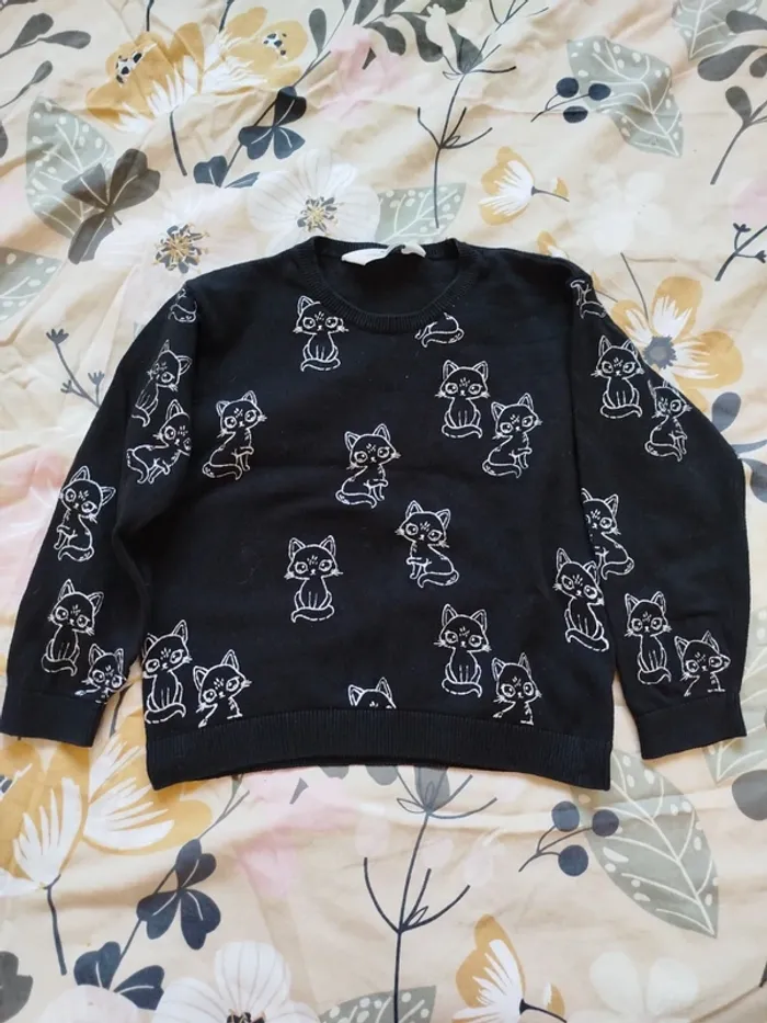 Pull motifs chats