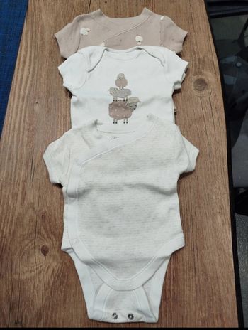 Lot 3 body manches courtes 