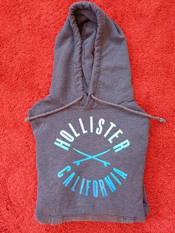 Sweat à capuche bleu Hollister