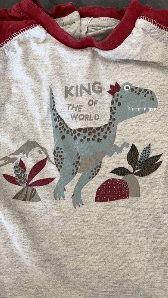 T-shirt dinosaure 18 mois - photo numéro 3