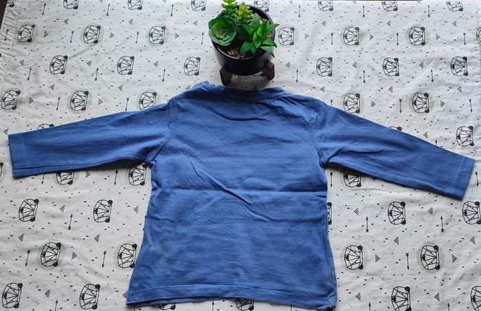 Lot de tee-shirt ML taille 23 mois/2 ans - photo numéro 9