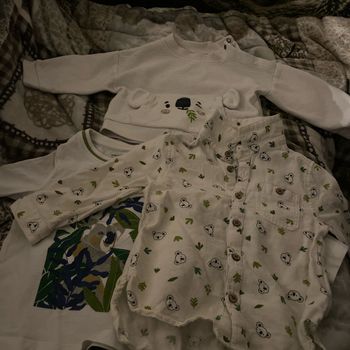 Lot orchestra 18 mois koala