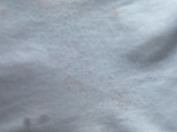 T-shirt du FFF avec deux étoiles - photo numéro 6