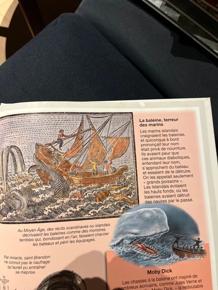 Livre pour enfants la grande imagerie fleurus les baleines - photo numéro 3