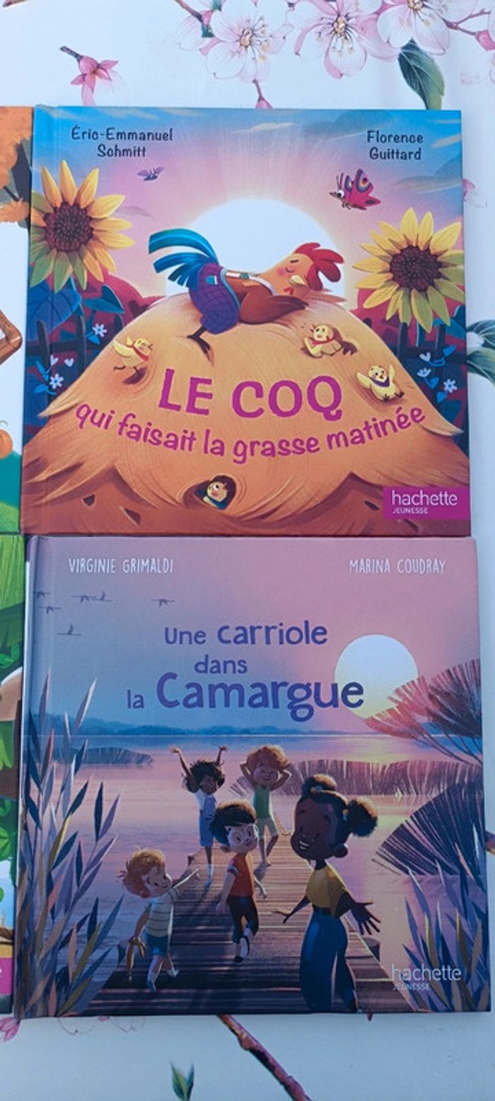 Lot 15 livres - photo numéro 6