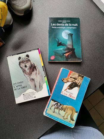 Lot livres ado collège 