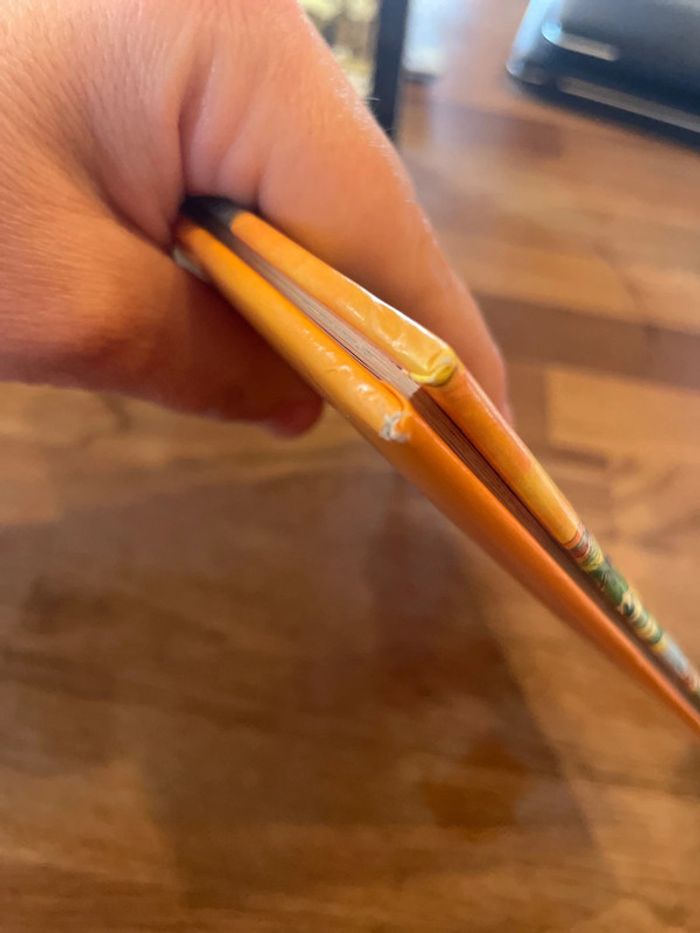 Livre Les dinosaures avec des pages lavables - photo numéro 11