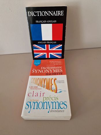 Lot de dictionnaires (2)