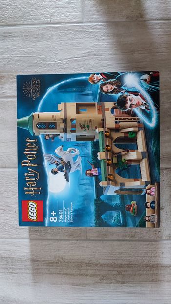 Lego Harry Potter 76401 Le cours de Poudlard : Le sauvetage de Sirius