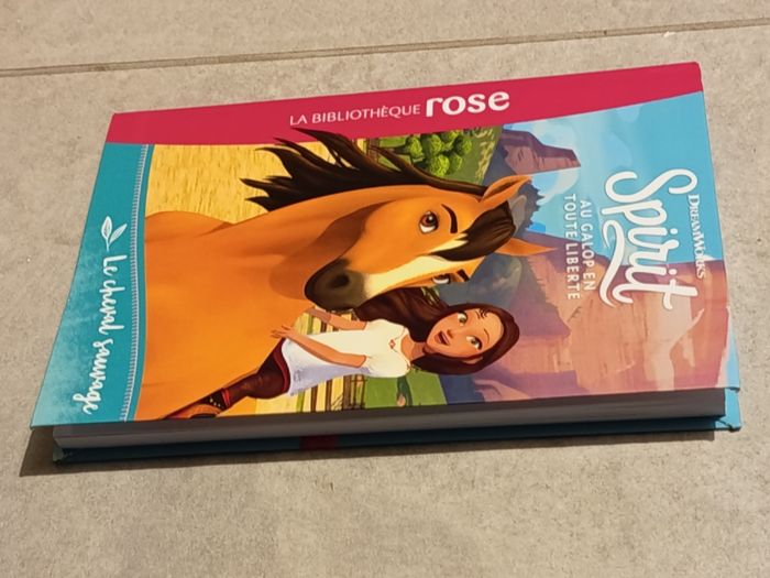 Spirit : le cheval sauvage - photo numéro 3