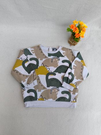 Sweat garçon TAO 36 mois