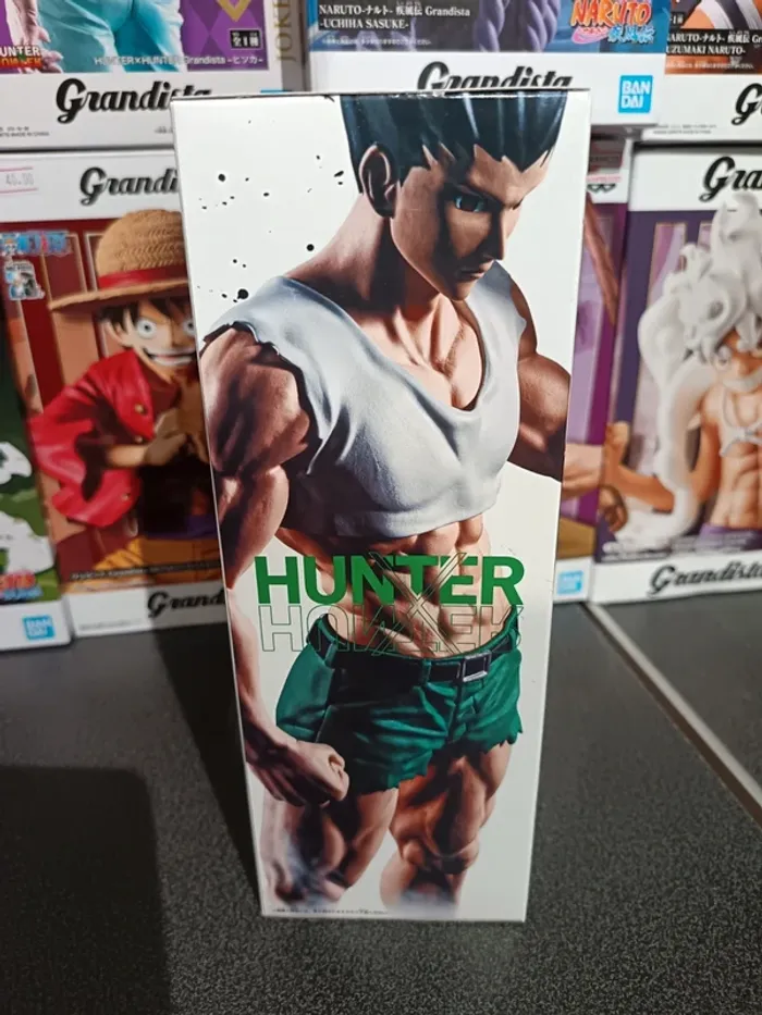 Hunter x Hunter Fig-life Gon adulte - photo numéro 5