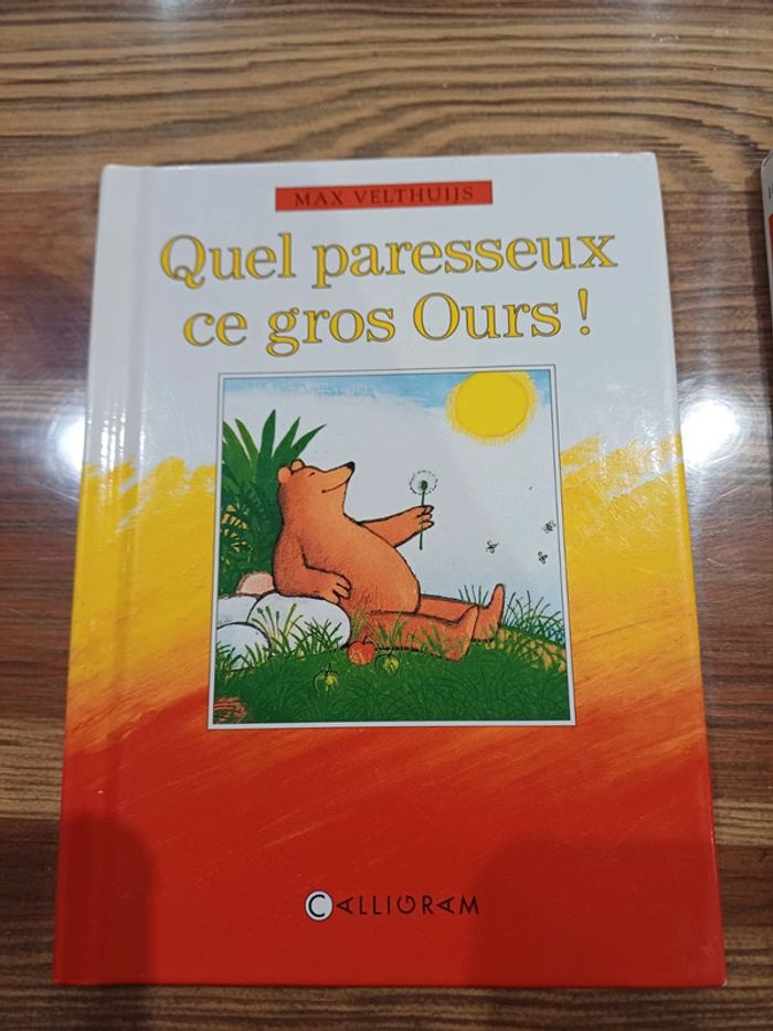 Lot de 2 livres Calligram - photo numéro 2