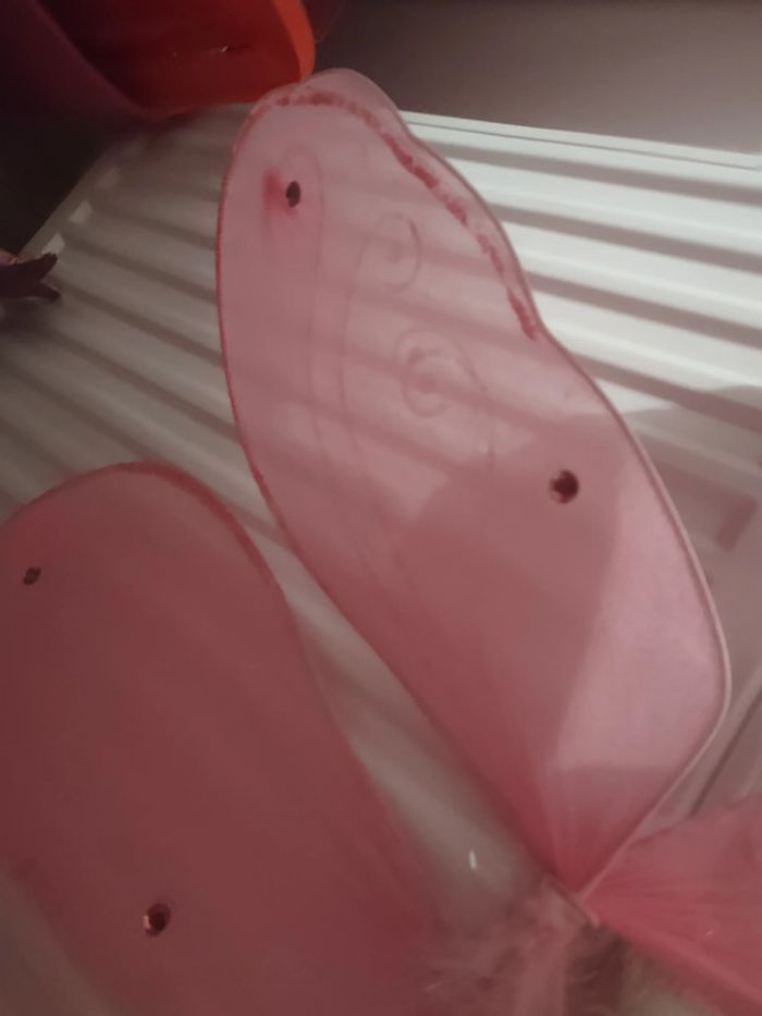 Ailes de papillon roses - photo numéro 3