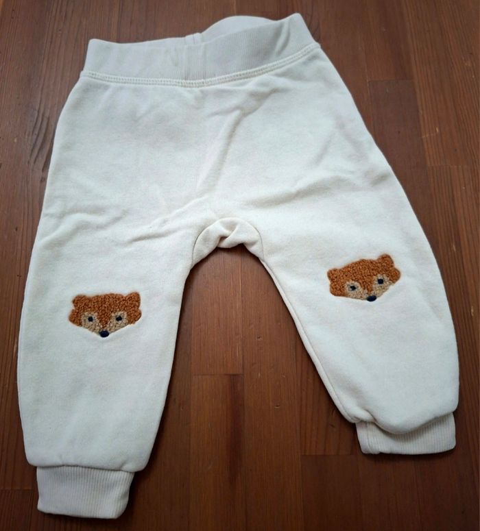 Joggings renard