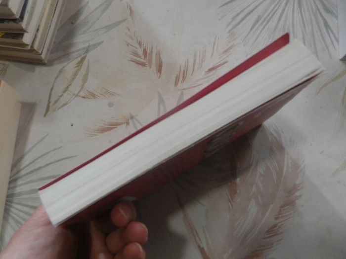 Les Colombes du Roi-Soleil n°05 Le rêve d'Isabeau de A.M. Desplat-Duc Ed. Flammarion - photo numéro 4