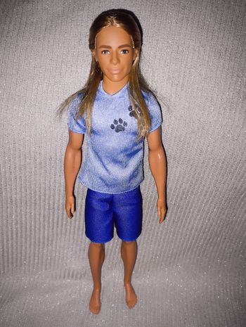Barbie ken fashionistas