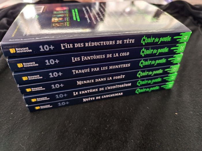 Chair de poule lot 6 livres tomes 19 20 21 22 23 24 - photo numéro 3