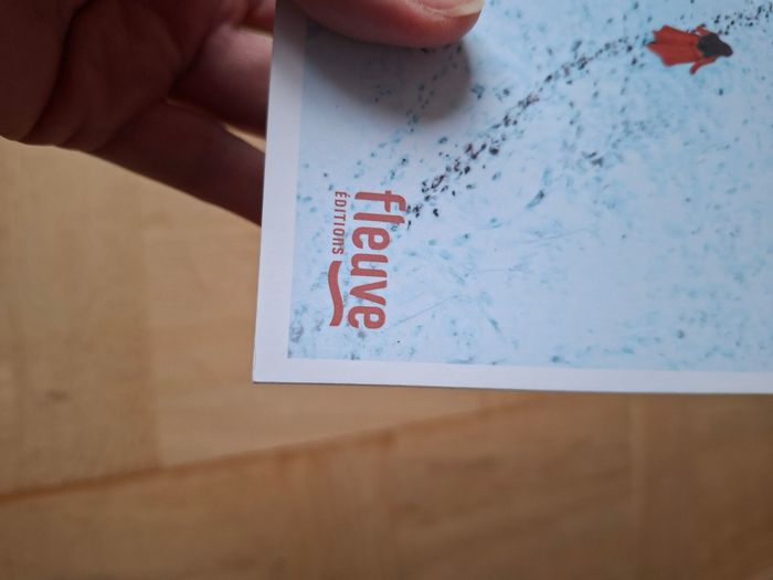 Le pays blanc - photo numéro 4