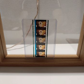 Pellicule démon slayer rengoku