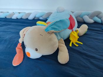 Lapin d'activité Oxybul