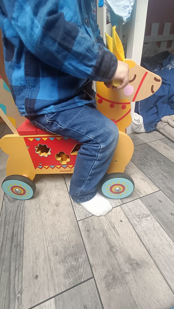 Porteur trotteur lama - photo numéro 3