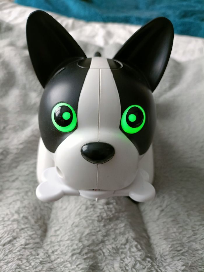 Duke le chien Interactif TBE - photo numéro 3