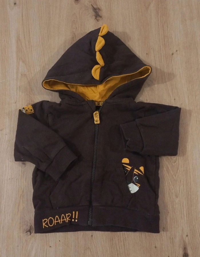 Gilets à capuche - photo numéro 4