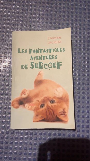 Les fantastiques aventures de Surcouf