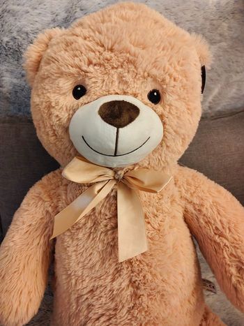 Ours en peluche ultra doux - Made in France - [Neuf]