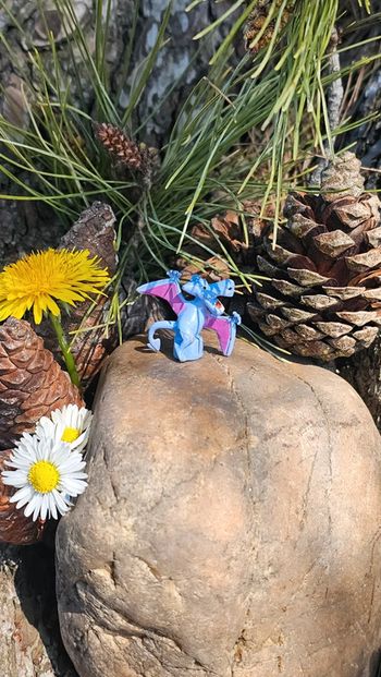 Super petite figurine Pokemon Nintendo Ptera