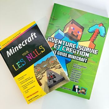 Lot 2 livres Minecraft – Guide + Minecraft pour les Nuls