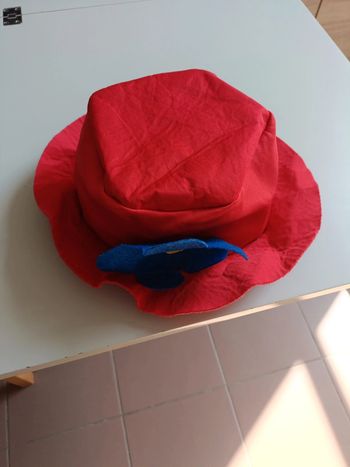Déguisement chapeau rouge