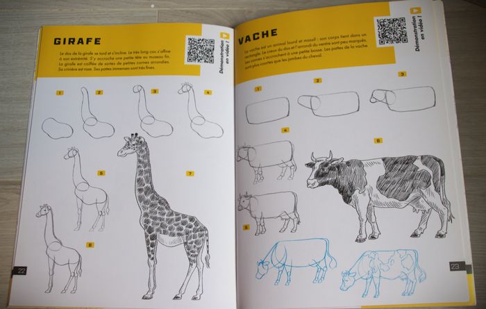 Le dessin facile en vidéo Animaux - Débutant - photo numéro 2