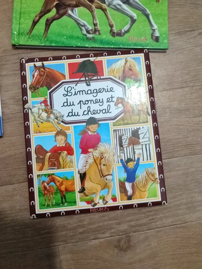 Livres thème equitation - photo numéro 4