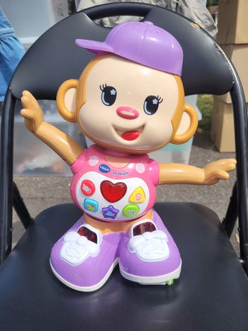 Robo titi oustiti