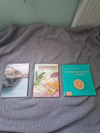 Livres recettes de cuisine à petit prix