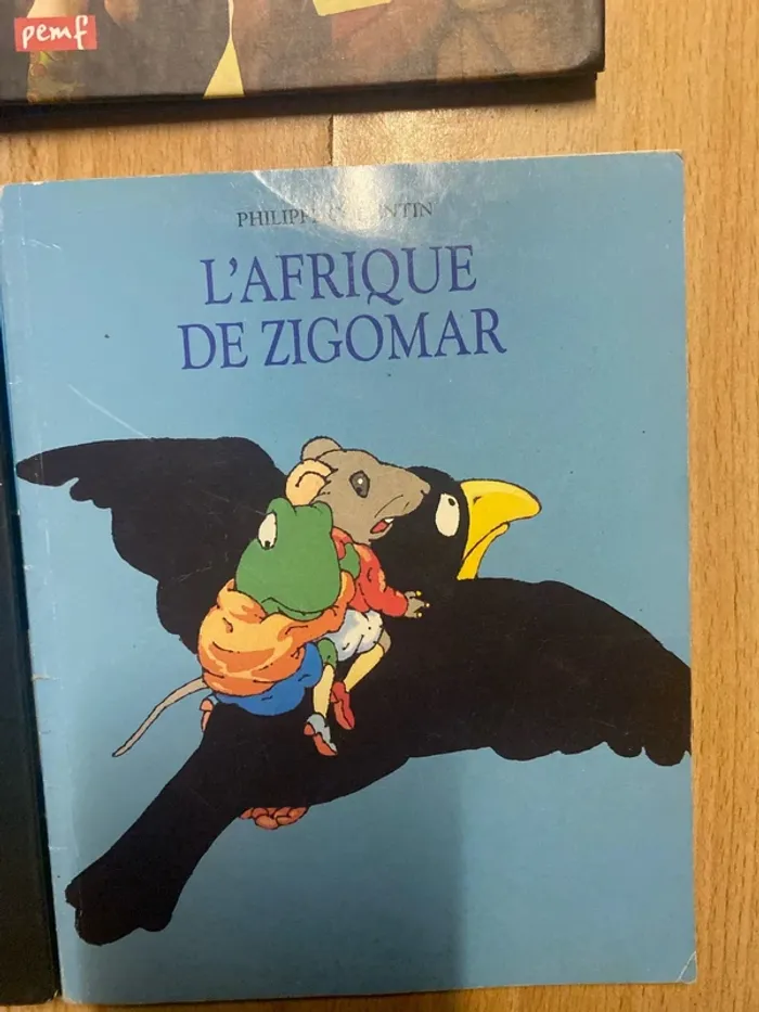 Livre enfants - photo numéro 9