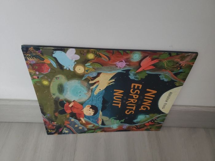 Livre Ning et les esprits de la nuit - photo numéro 3