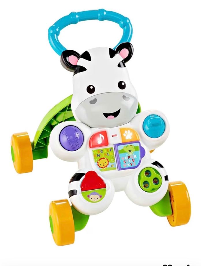 Trotteur zèbre - photo numéro 2