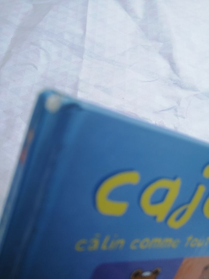 Livre cajou câlin comme tout ! - photo numéro 4