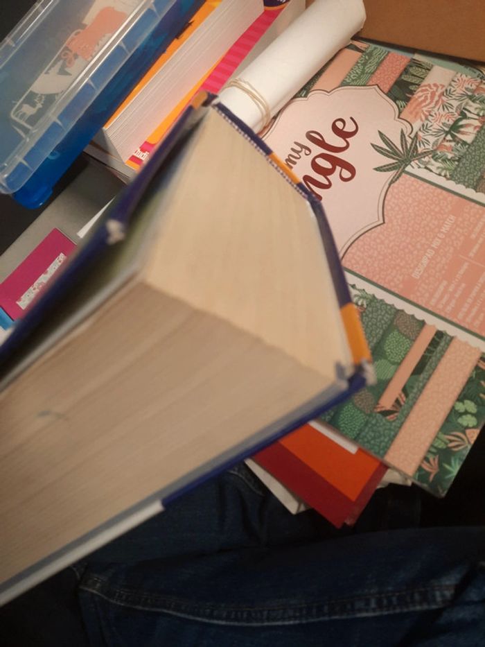 Dictionnaire adulte - photo numéro 5