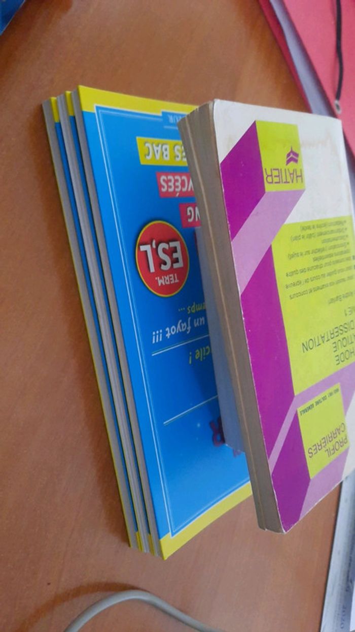 Lot 5 livre annales bac es l et dico allemand - photo numéro 6