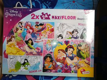 Boîte deux puzzles 24 pièces 50x35 cm 