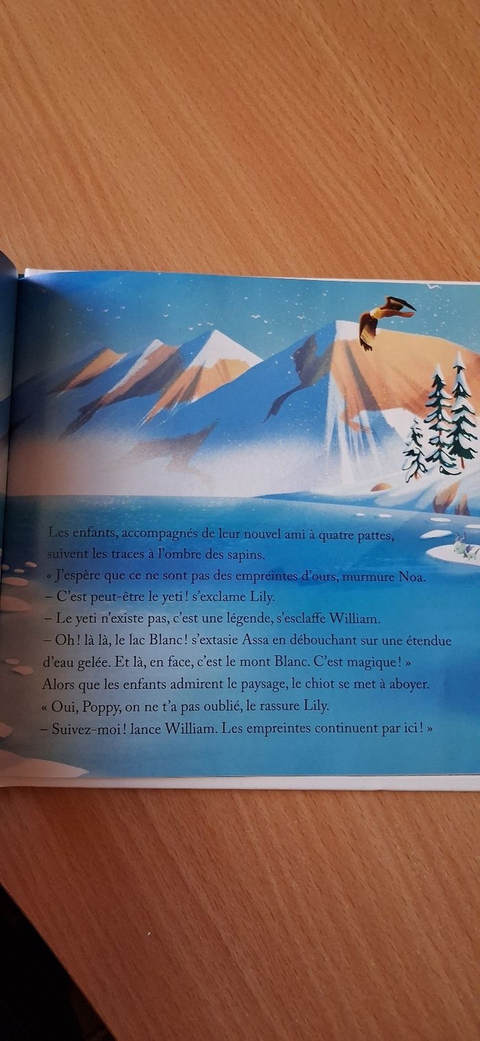 Le husky du mont Blanc - photo numéro 2