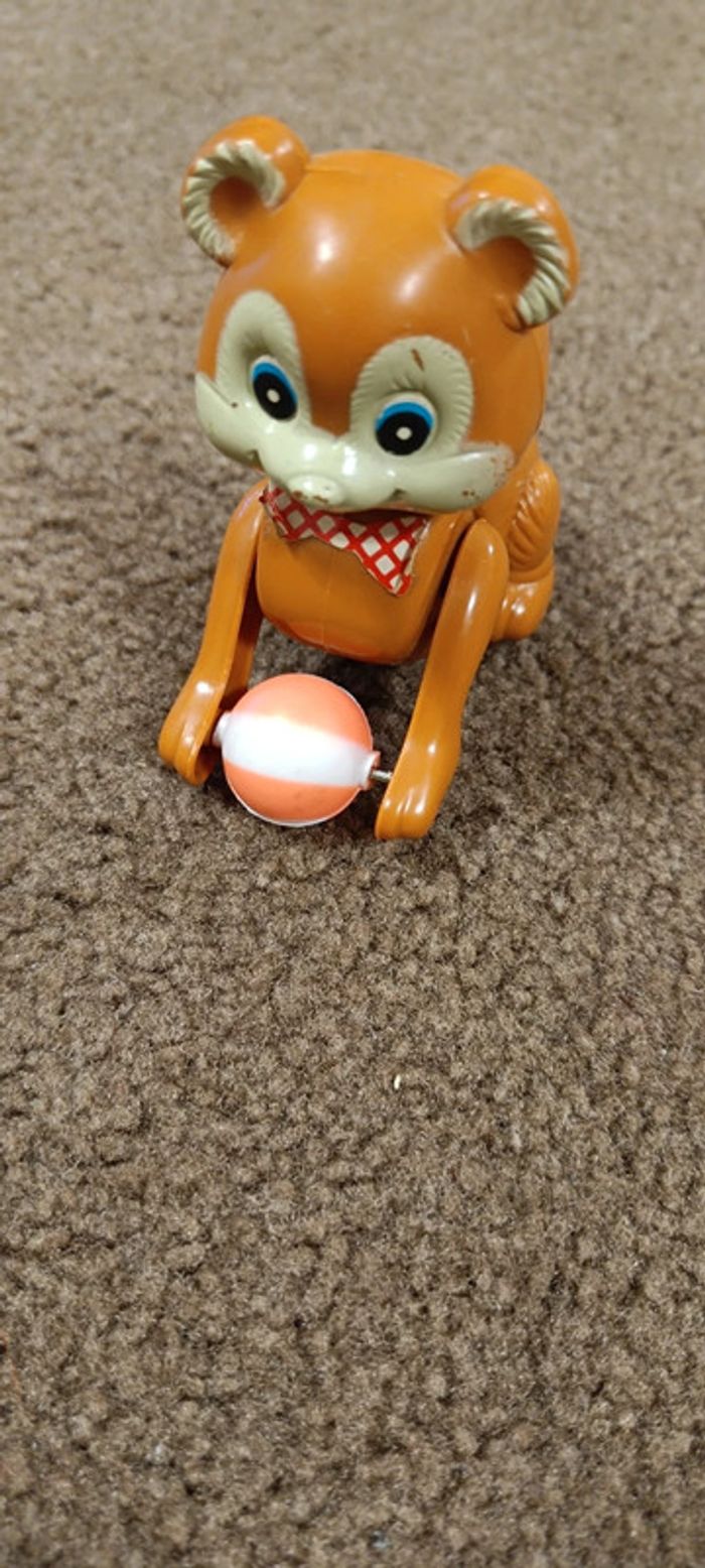 Chat qui saute - photo numéro 7