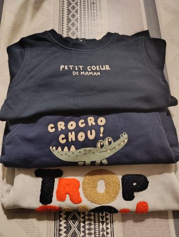 Sweat garçon 24 mois lot de 3