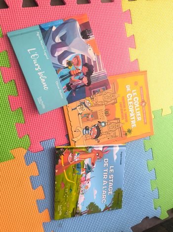 Lit 3 livres neufs