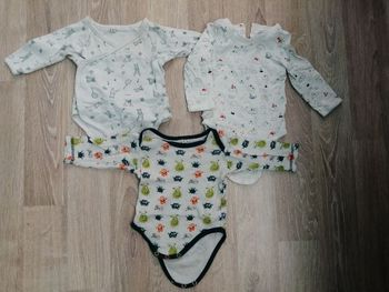 3 bodies